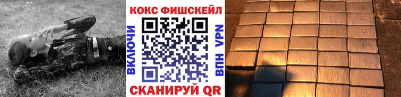 хочу наркоту  Дегтярск  Cocaine Fish Scale 
