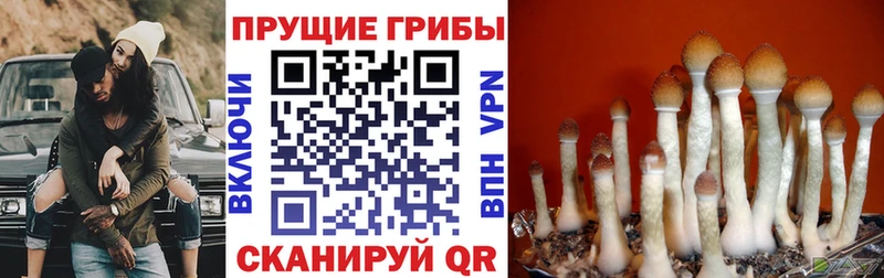 гидра ONION  Дегтярск  Галлюциногенные грибы прущие грибы 